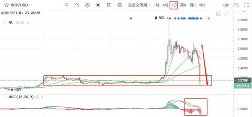 xrp币一天能挖多少,xrp是什么？