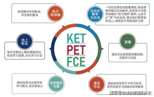 金盘系统查重技巧分享：轻松应对查重需求