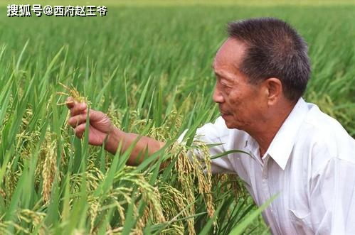 代币奖励法是什么意思,什么是代币奖励法? 代币奖励法是什么意思,什么是代币奖励法? 币圈生态