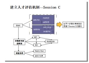 高效执行力与全局思维