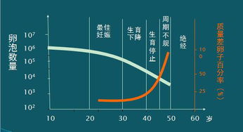 来测验一下你的试管婴儿成功率有多大