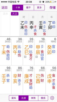 2013年八字,2013年命格