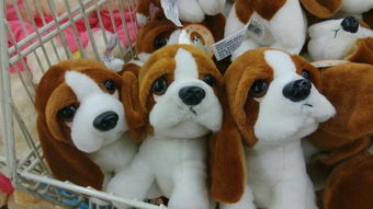 超市里看到这样的狗玩偶,有点贵,没买,想网上买,可是不知道狗叫啥名字,找不到这样的宝贝,请教大神告 