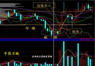 股票在涨停后还可以买入吗？那跌停后可以卖出吗？谢谢各位股友拉