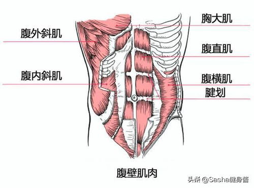 铁矿石价格谈判结果下降35%，那螺纹钢一吨是多少钱才是钢厂的成本价格？