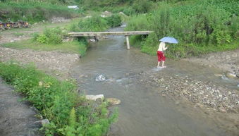 便民桥被洪水冲走 每年雨季都是村民们的噩梦 