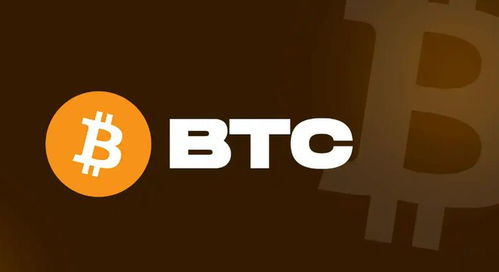 B TC云比特币,“BTC”是什么意思？