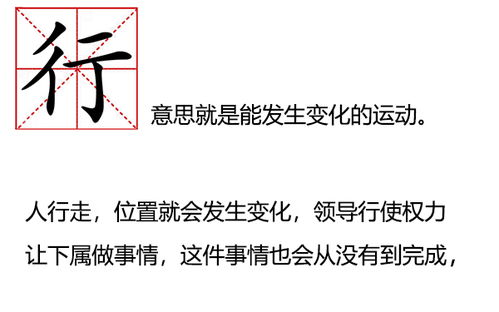 大白话说中医第八集 元气如何分五行