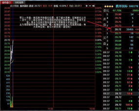 股票专业可分多少种？（大学可学的)