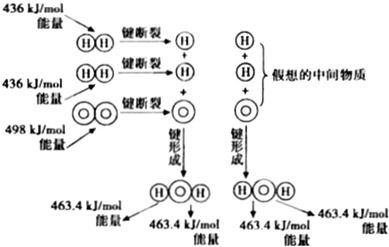 为什么脂肪中氢与氧的比值比糖类中高