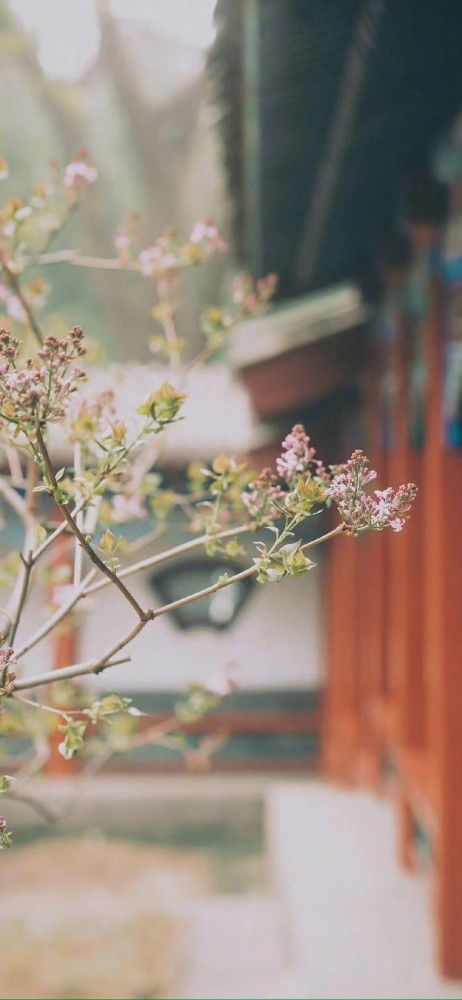 婚姻里朴实平淡,懂得珍惜对方的三大星座