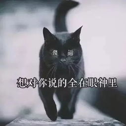 黑猫 只因全身黑色,所以没有人想要爱我