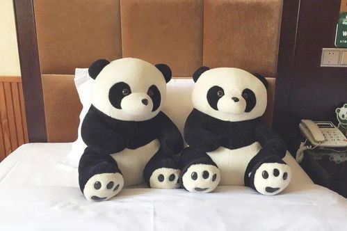 十一小长假 四川 大熊猫科普体验项目