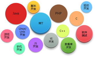 学java需要注意什么,学Java需要注意的几个关键点