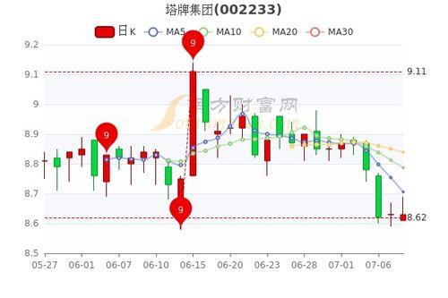 塔牌集团股票, 塔牌集团股票价格上涨