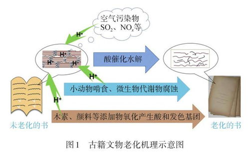 解读 纸质文物酸化 泛黄的原因