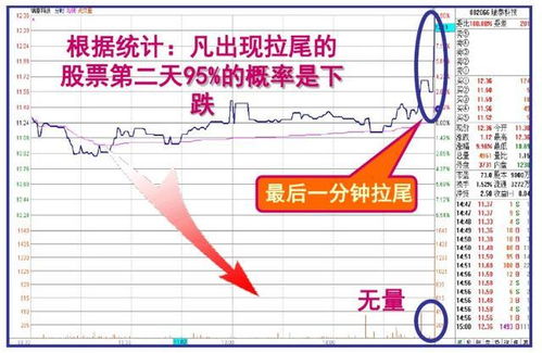 中国最牛股市博客人气王是哪个