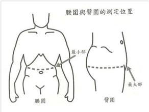 如何测量腰围和臀围