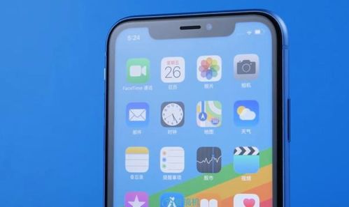 iPhone XR扛不住了 从6499元跌至3499元,三大缺点能接受再入手