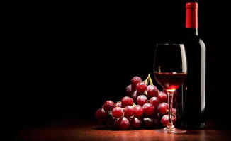 葡萄怎么酿葡萄酒多久 