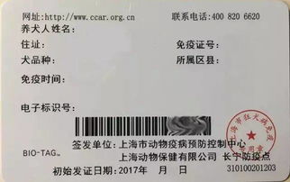 在上海,狗证怎么办理 详细流程都在这里了 