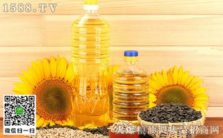 葵花籽油的营养价值 葵花籽油的营养价值与功效