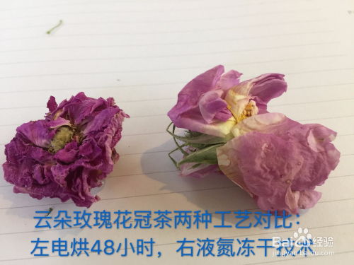 茶叶的花有什么作用