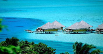 巴厘岛酒店预定推荐：如何选择性价比高的酒店？