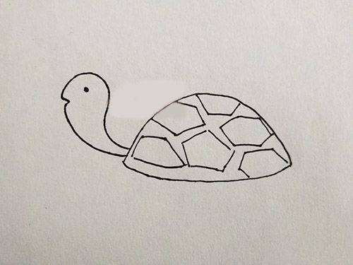 乌龟简笔画怎么画 龟百科 