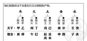 十天干与五行如何对应,十天干相生相克关系,正常及反常关系