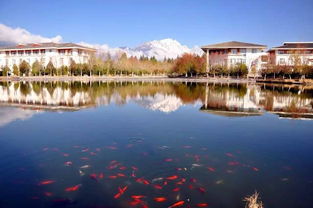 云南大学旅游文化学院是一所位于中国云
