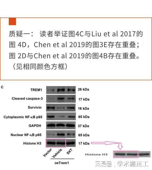 期刊发表论文查重率常见问题解答