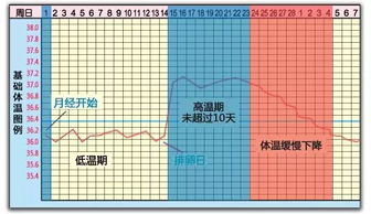 基础体温怎么测最准确？什么时候用体温计测排卵期最准