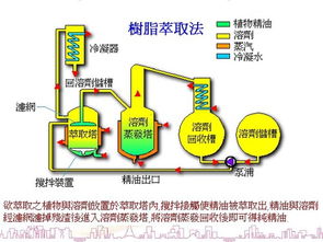 精油知识 香极地 香极地,最纯粹的精油