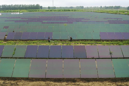 阳光保险首家承保中国最北边陲城镇农业种植险