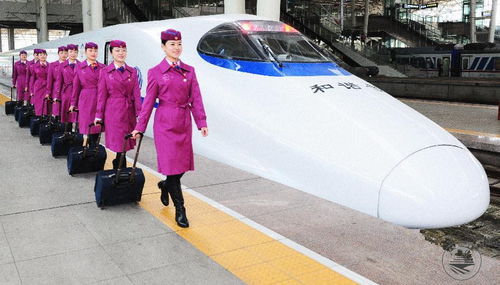 济宁高铁乘务学校：培养未来高铁服务的精英