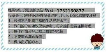 2009年经济危机，我手里有200万存款，投资什么好？