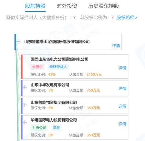 山东鲁能首次提交的中性名更名未能通过中国足协审核