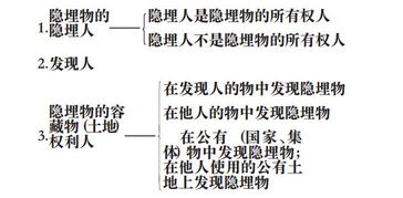 论道 王明锁 隐藏物与埋藏物的所有权应归谁所有