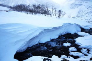 名言 雪景_今冬天气趋势预报名言？