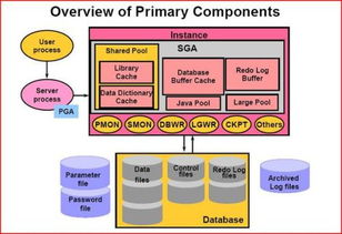 oracle什么意思,从古希腊神谕到现代技术巨头