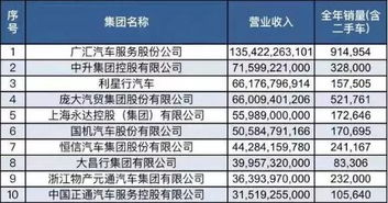 广汇汽车公布上半年业绩，可信吗