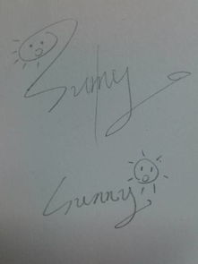 设计一个sunny 的签名字体,就是画完漫画后签名的那种,可爱一点好看一点Q一点,发图片哦 