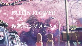 论小十七fallin flower与你的名字的适配度