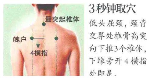 胸椎棘突 图片信息欣赏 图客 Tukexw Com