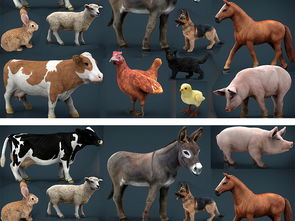 12种家禽动物3D模型设计素材 其他模型大全 18840322 