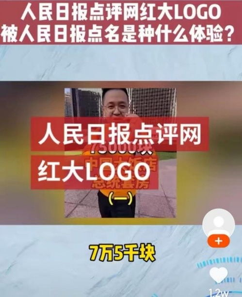 大logo被点名人民日报原文