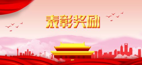 tvk币团队成员列表