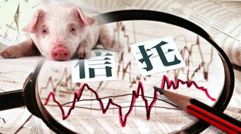 100亿大手笔 信托资金也来掺和 合伙养猪 ,今年还有什么事儿是 猪 不能解决的