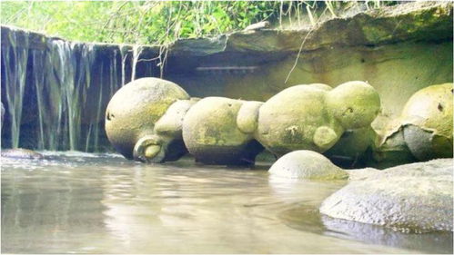 世界上最怪异的石头 遇水膨胀,专家 有600万年历史 